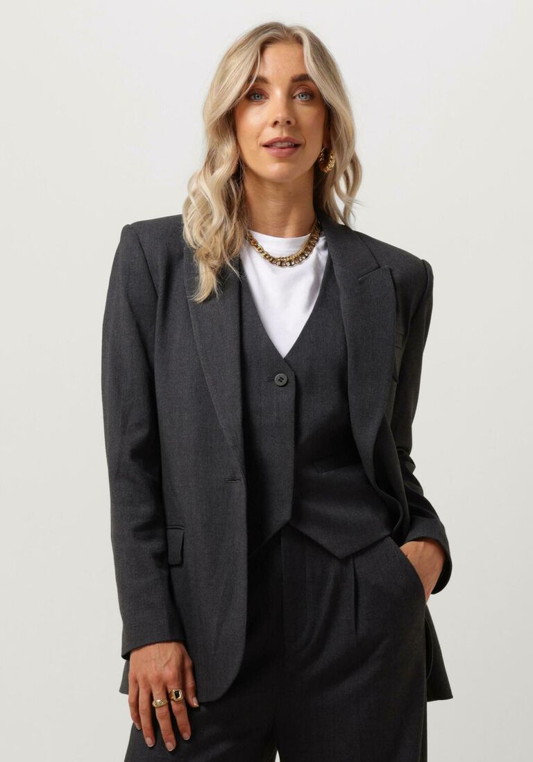 COPENHAGEN MUSE grijze copenhagen muse blazer cmtailor-ja