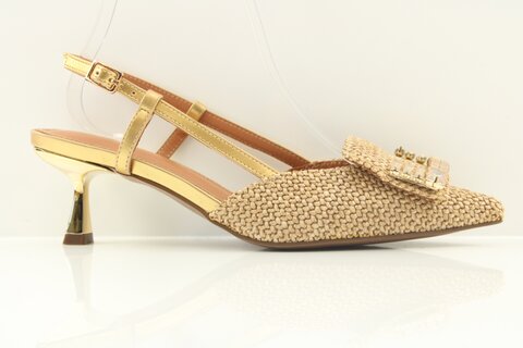 Lodi Pumps