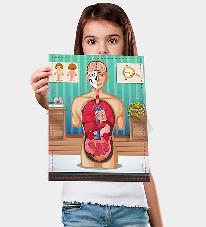 Liniex Science4you Set - Human Body