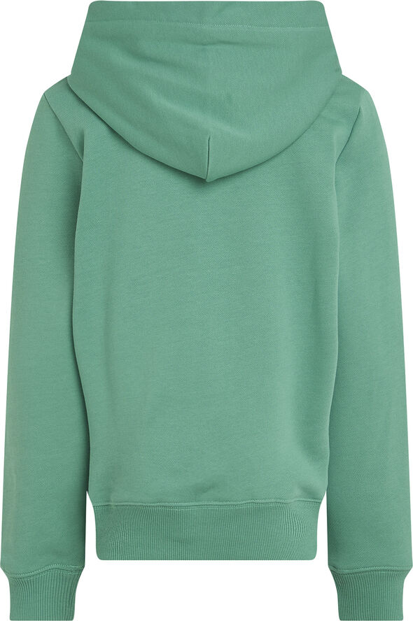 Calvin Klein INST. LOGO REG. TERRY HOODIE Bahama green