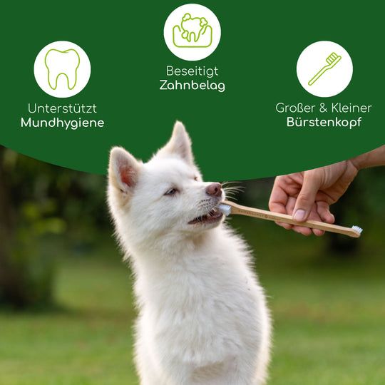 Wolfsbacher Natur Zahnbürste aus Bambus