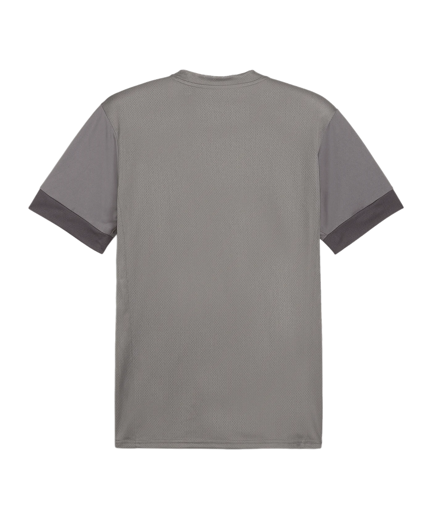 PUMA teamGOAL Matchday Trikot Grau Weiss F13