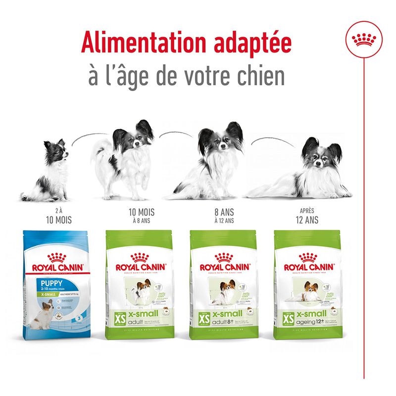 Royal Canin X-Small Adult à prix discount sur bitiba.fr