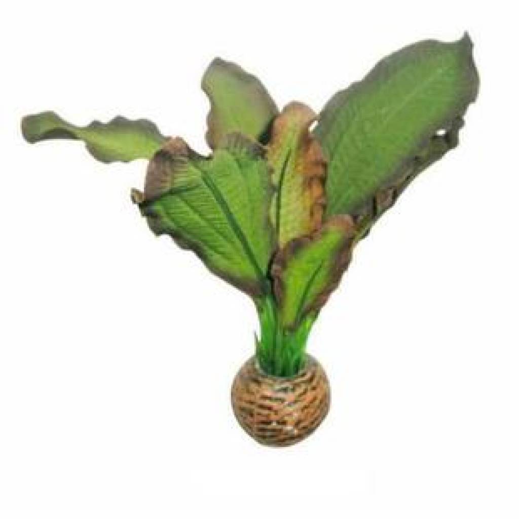 Superfish Easy plants voorgrond 13cm NR.3 | decoratie