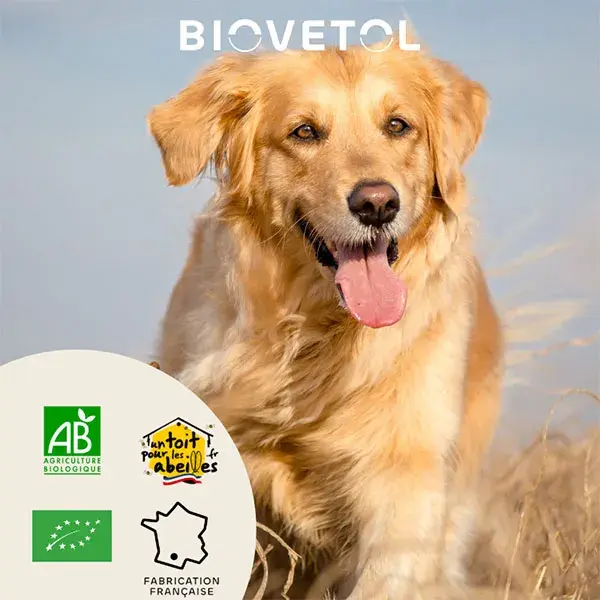 Biovetol - Estimulante Intestinal Orgânico em Pó para Cães de Grande Porte (>10kg) - 160g