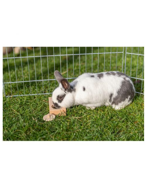 Trixie Intelligentiespel Snack Box - Speelgoed - 14x3x7 cm