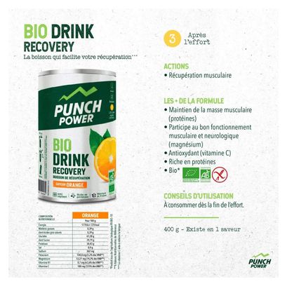 Punch Power Biodrink 500 g - Orange