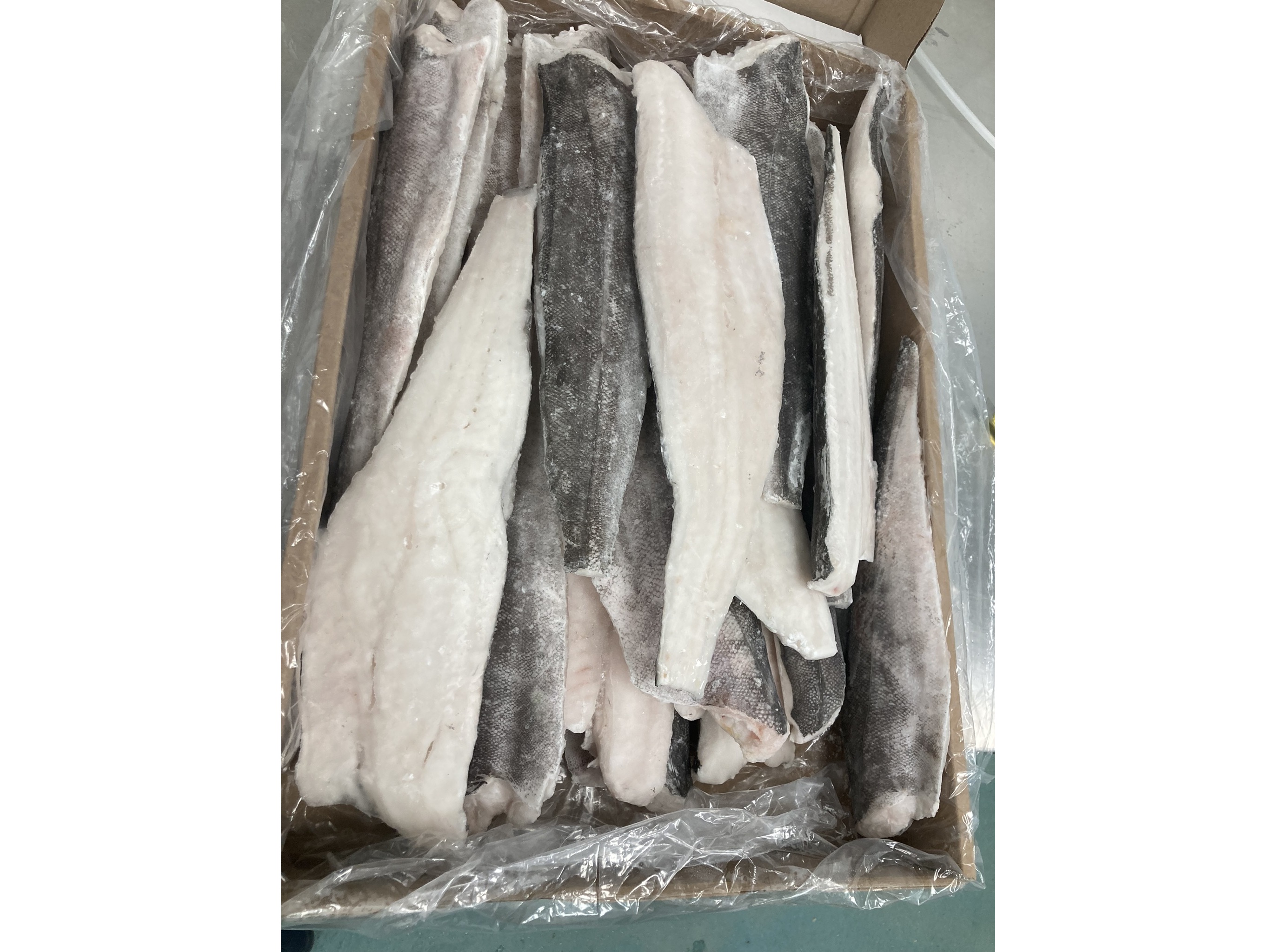 FILETE PESCADA CHILE CONGELADO KG