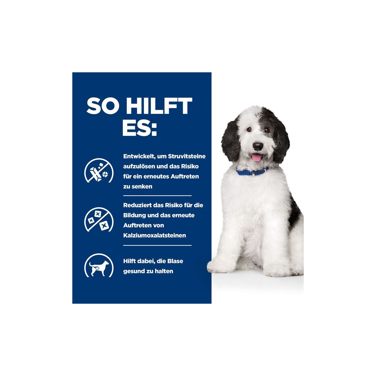 Hill's Prescription Diet c/d Multicare 12 kg