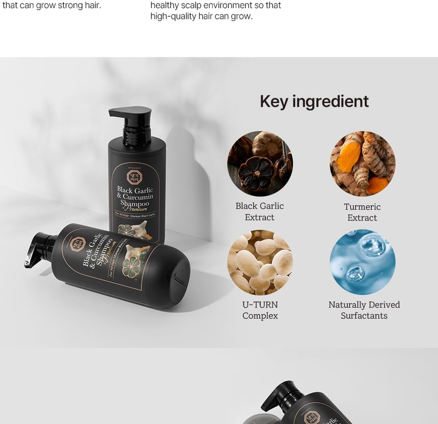 DAENG GI MEO RI - Premium zwarte knoflook- en curcumineshampoo