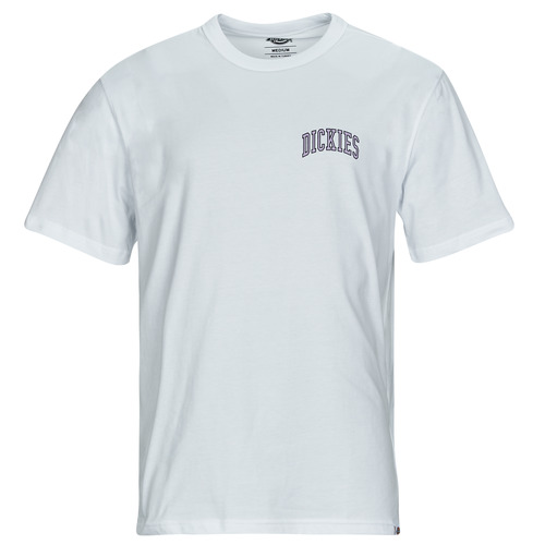 Dickies - AITKIN CHEST TEE SS - Blanc