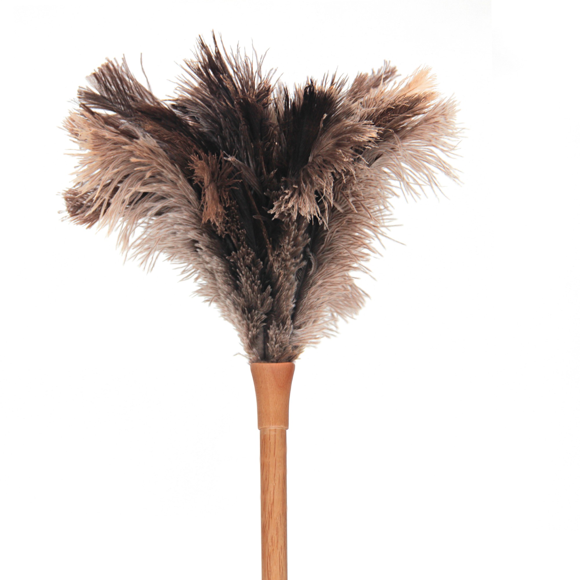 Staubwedel aus Straußenfedern, L 50 cm von fischer's lagerhaus