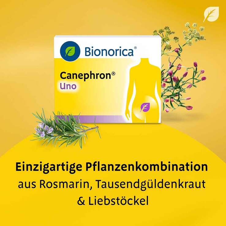 Canephron Uno überzogene Tabletten, 60 St