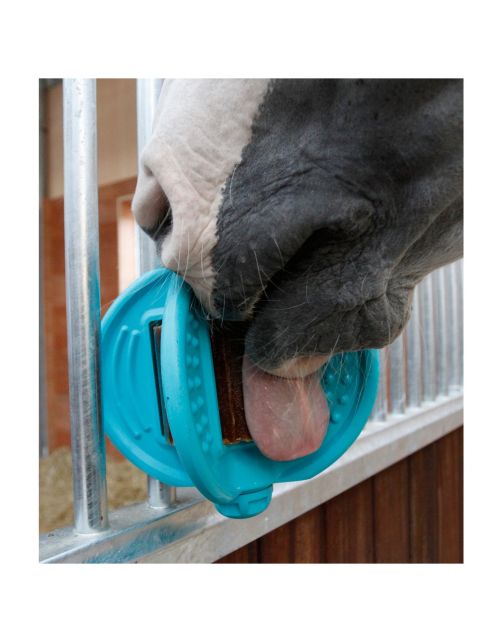 Bizzy Lick Bizzy Bal - Liksteenhouder - Paardenspeelgoed - Aqua