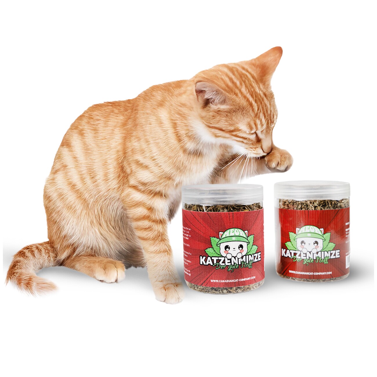 Canadian Cat Company Katzenminze in Dose