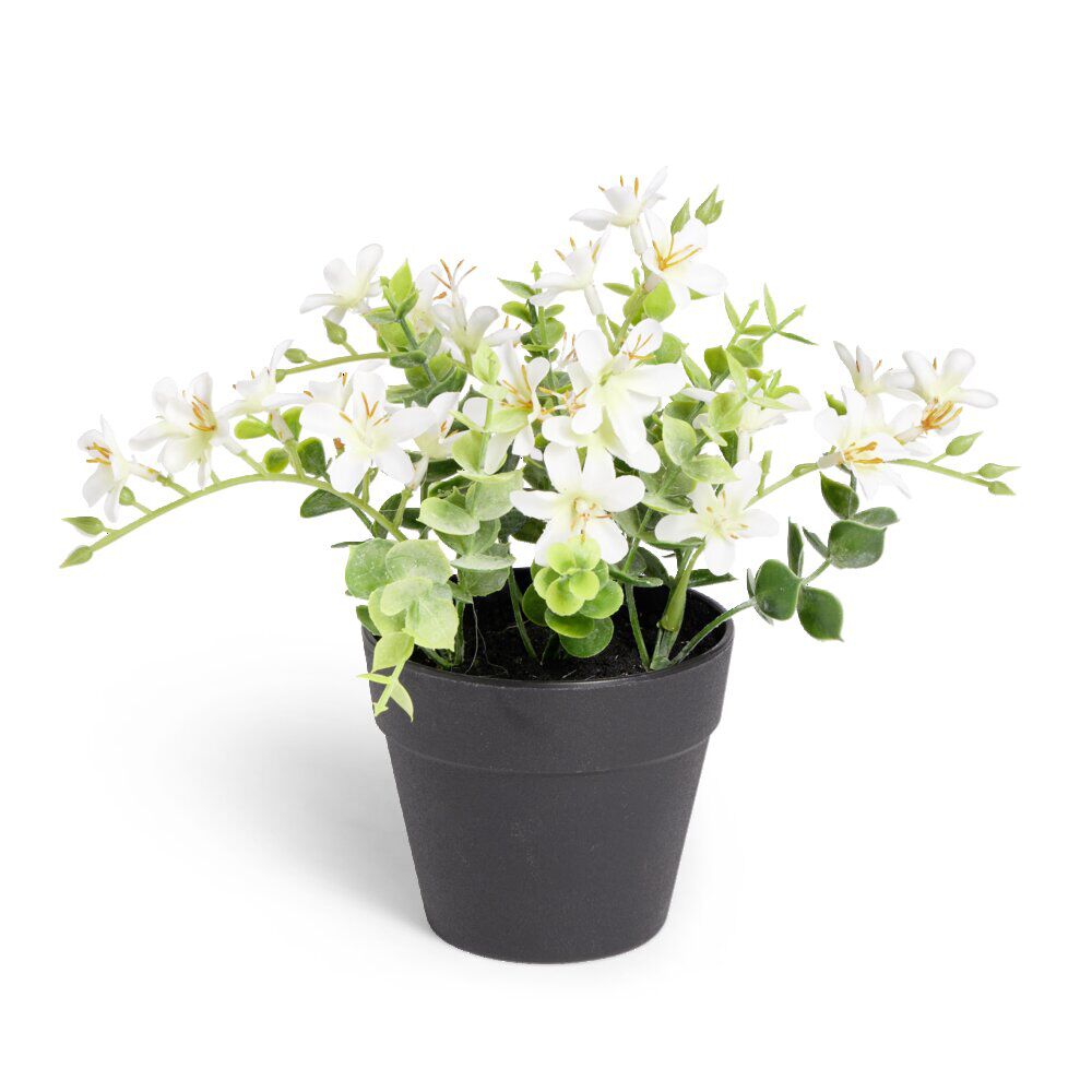Plante artificielle fleurs blanches H14cm