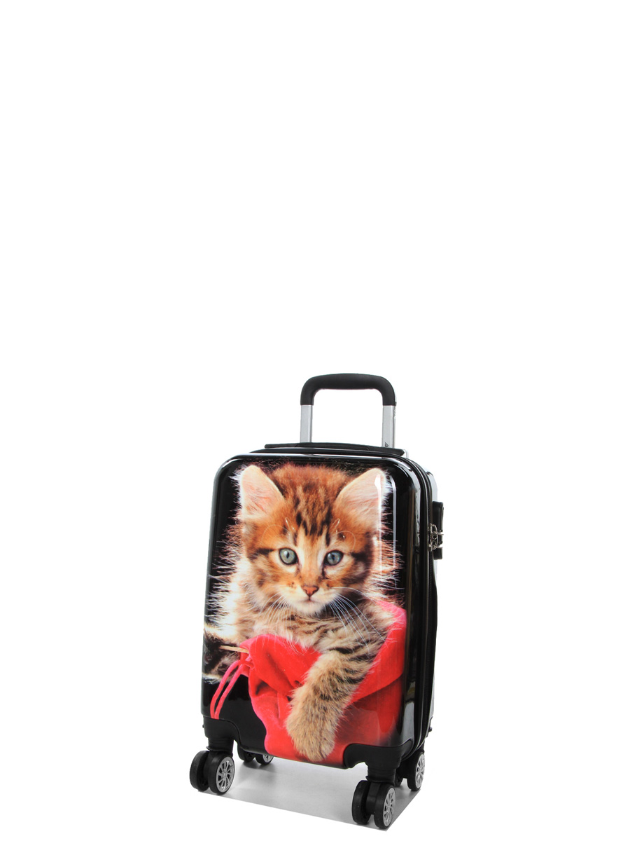 Ensemble 4 valises Madisson Chaton