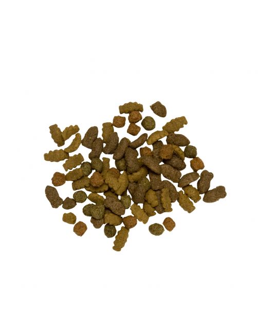 Pets Place Kat Adult Zalm - Kattenvoer