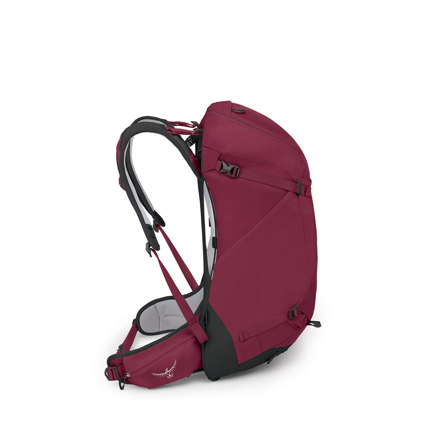 Osprey Hikelite 32 M-L chameleon-black