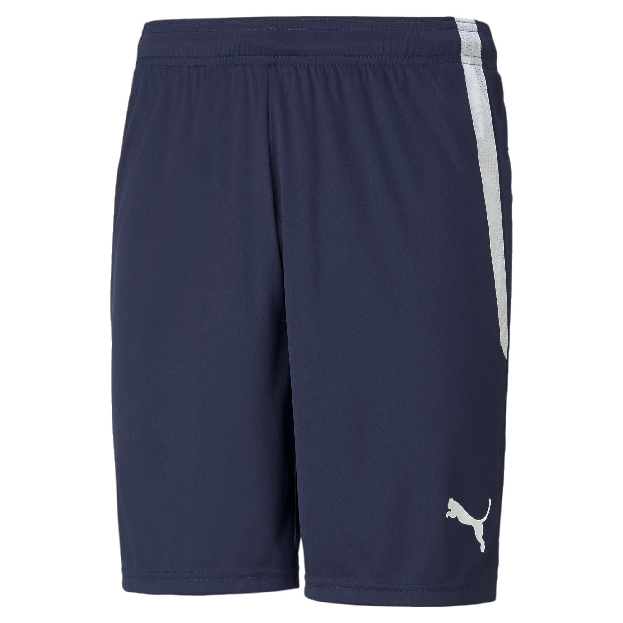 PUMA  Teamliga Shorts