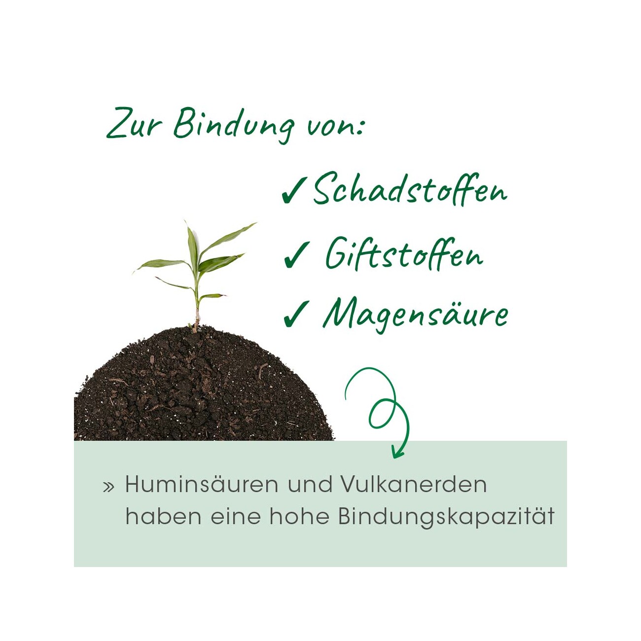 cdVet Magenschutz 100 g