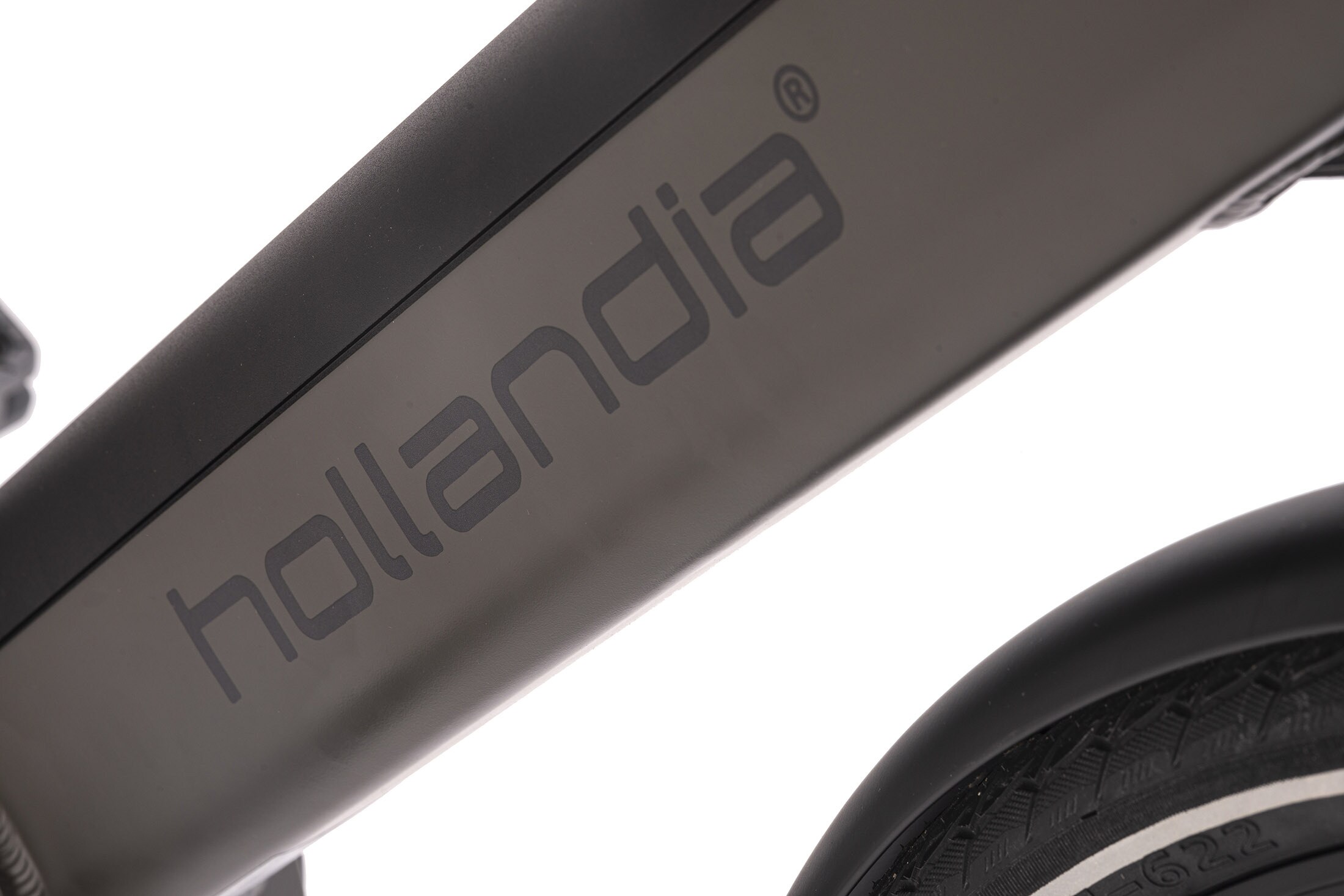 Hollandia Alu E-Citybike Herren Hollandia Mantova 28'' grau 7 Gänge