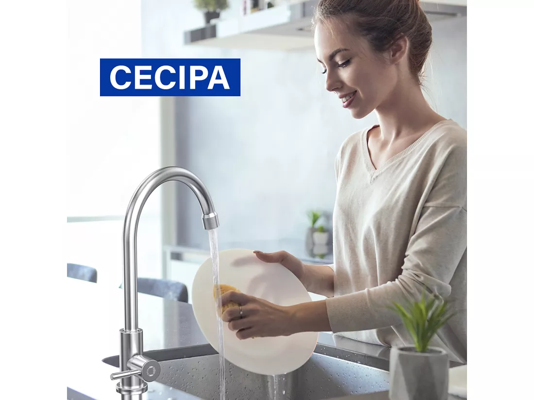 Cecipa max Robinet Cuisine Robinet d'eau Froide Brossé Mitigeur de Evier Rotatif à 360°,EU Modèle