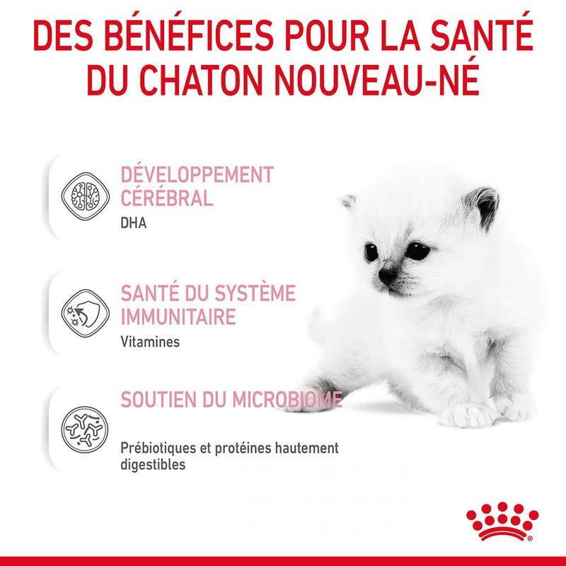 Lait maternisé Royal Canin Babycat à prix discount sur bitiba.fr
