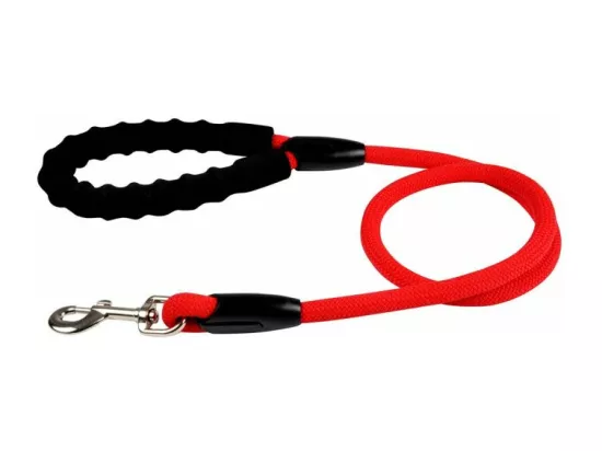 Laisse pour Chien 