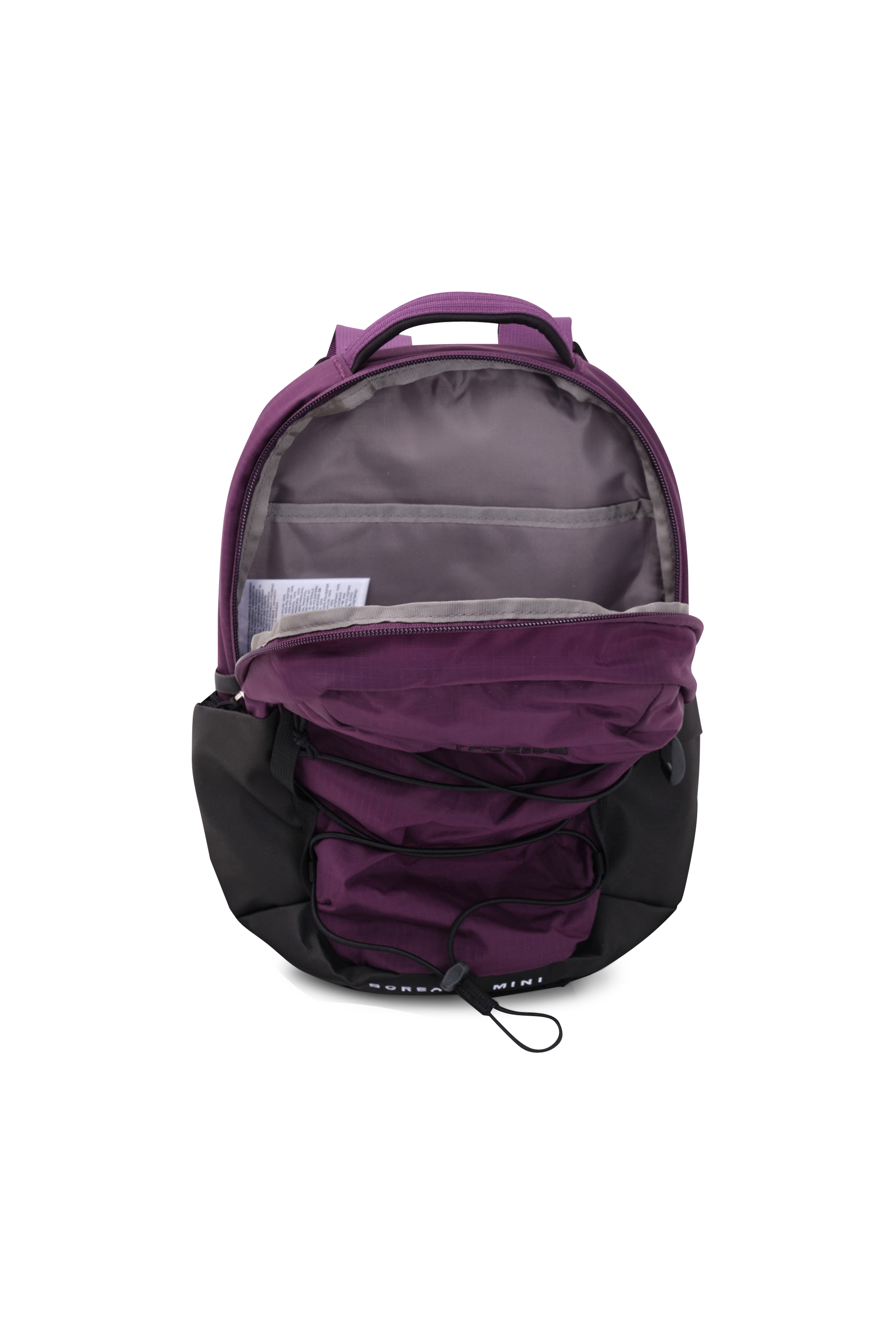 THE NORTH FACE Sac à dos  BOREALIS MINI BACKPACK Violet