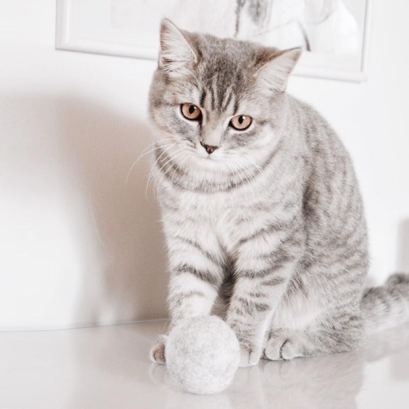 LucyBalu MINT BALL Filzball mit Katzenminze