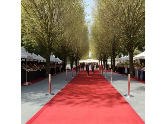 Tapis pour exposition 1 x 12 m rouge