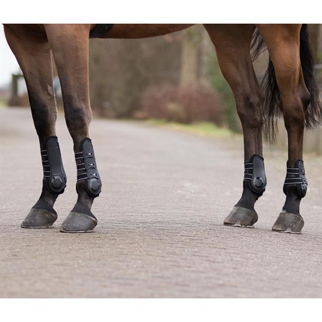 Peesbeschermers QHP Champion Zwart