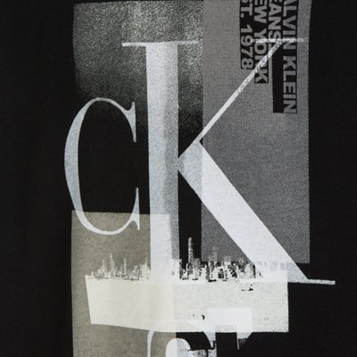 Sweatshirt à capuche homme Connected Layer Landscape CALVIN KLEIN
