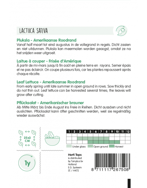 Hortitops Pluksla Amerikaanse Roodrand - Groentezaden - 10 g