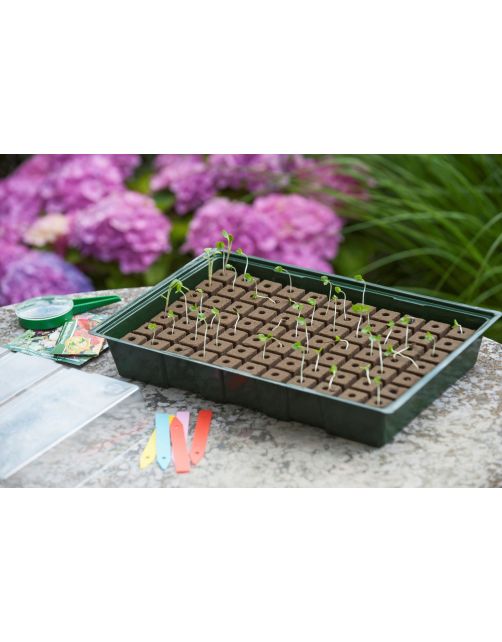 Nature Kweekbakset - Kweekbakken - 23.5x35x11 cm Groen Transparant