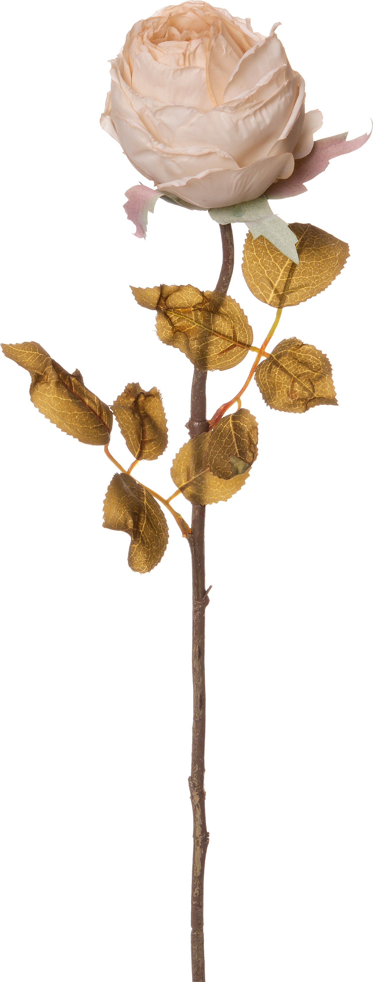 Intratuin kunstbloem Roos 61 cm crème