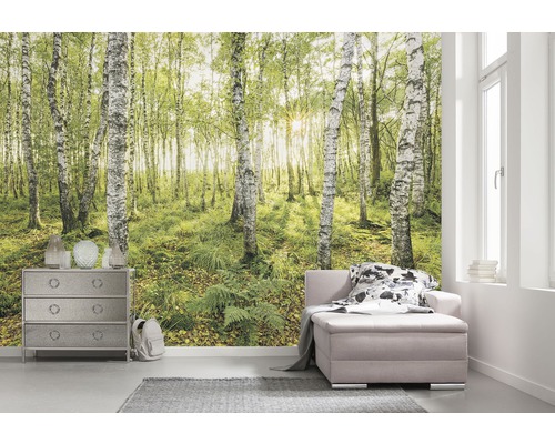 Vliesbehang SH043-VD4 Stefan Hefele Ed 1 Berkenbomen 4-delige set 400 x 250 cm