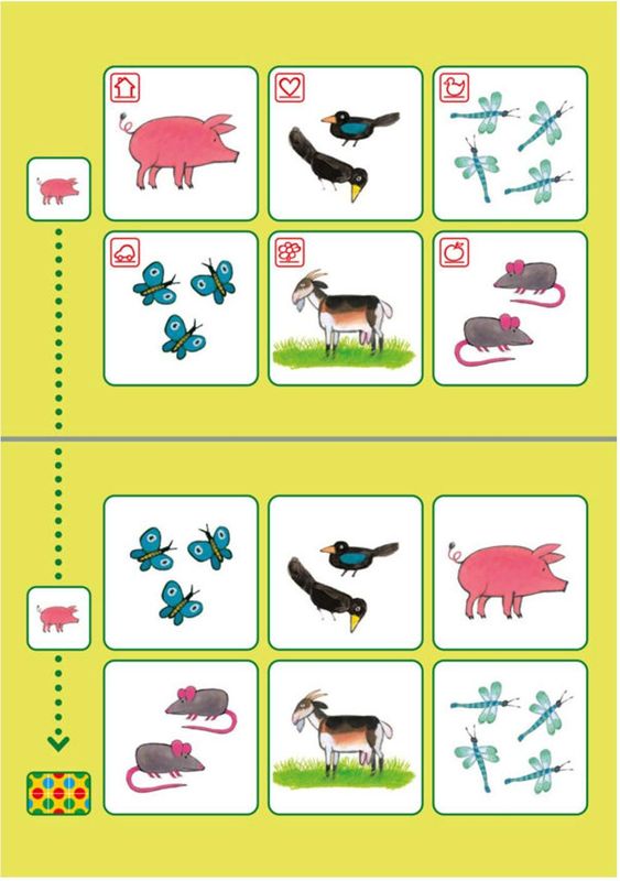 Bambino Loco - Pakket Kikker - Spelen en Leren - Kleurboeken - Educatief