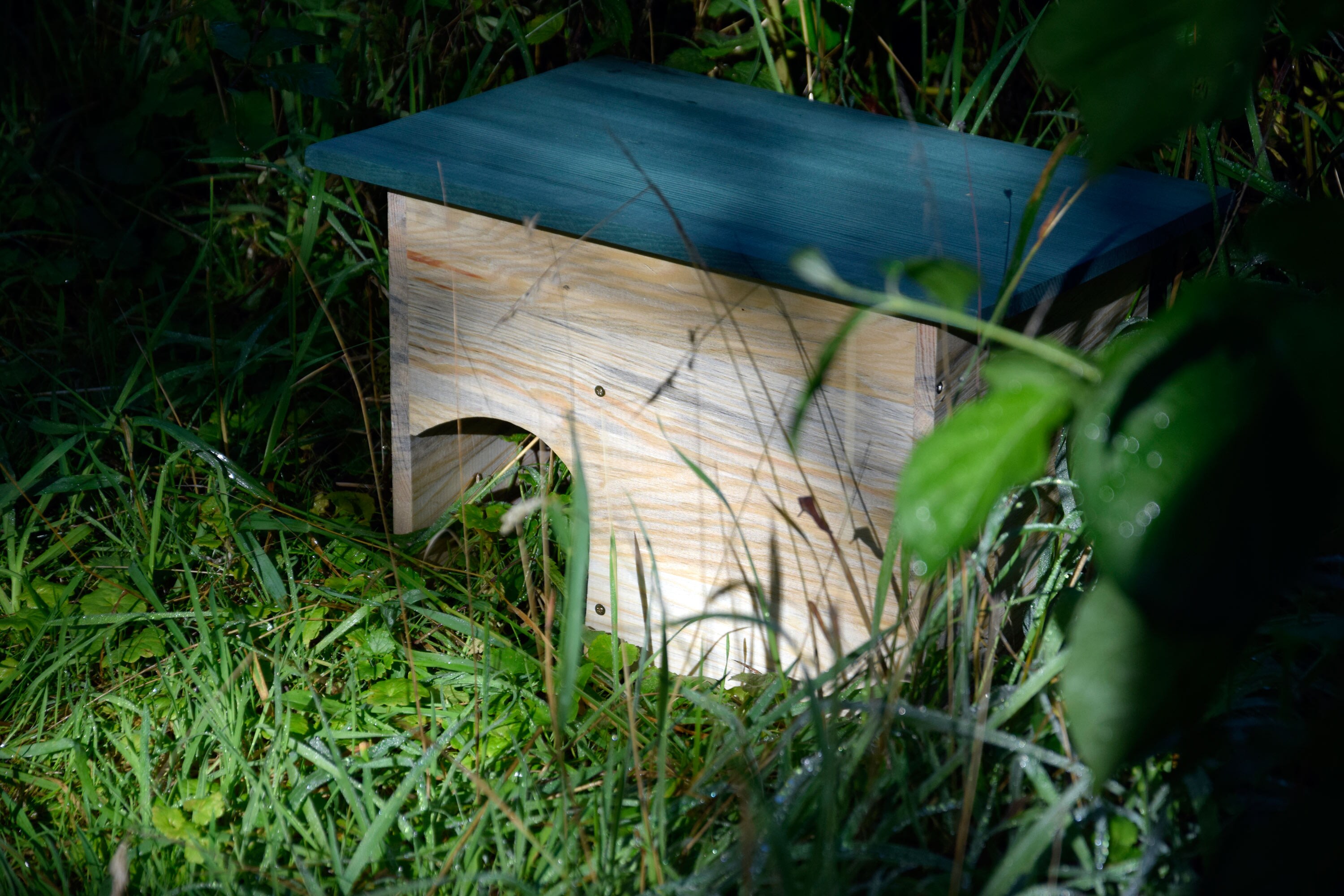 dobar Bausatz Igelhaus mit grünem wetterfestem Dach und Schleuse