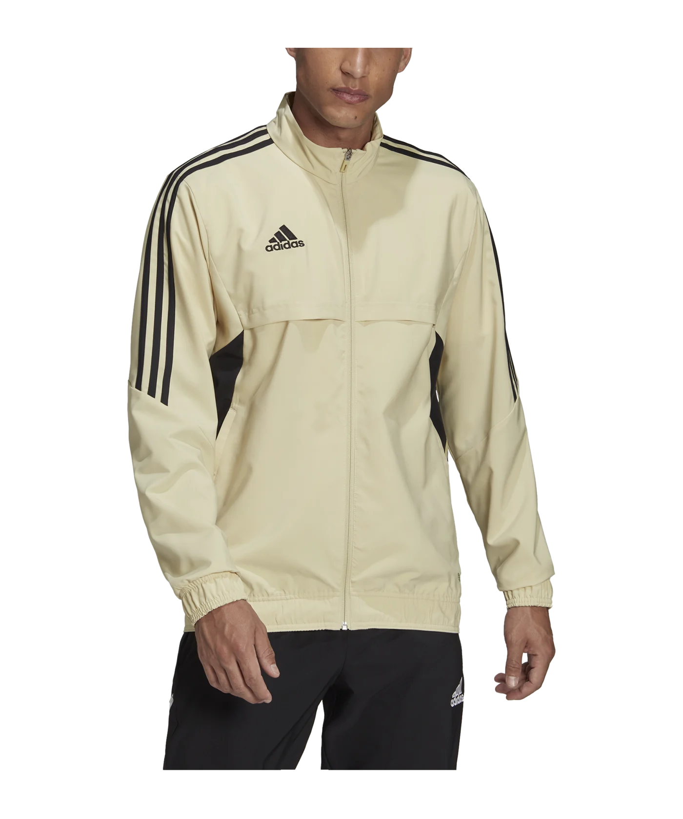 adidas Condivo 22 Präsentationsjacke Braun