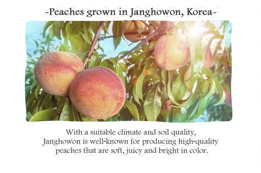 SKINFOOD - Peach Cotton Multi Finish Poeder (Klein) 5g