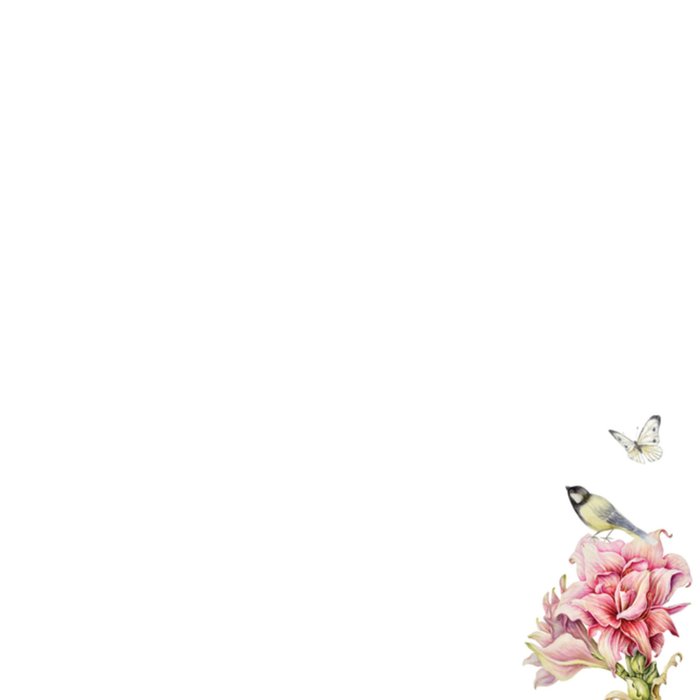 Janneke Brinkman | Verjaardagskaart | Bloemen