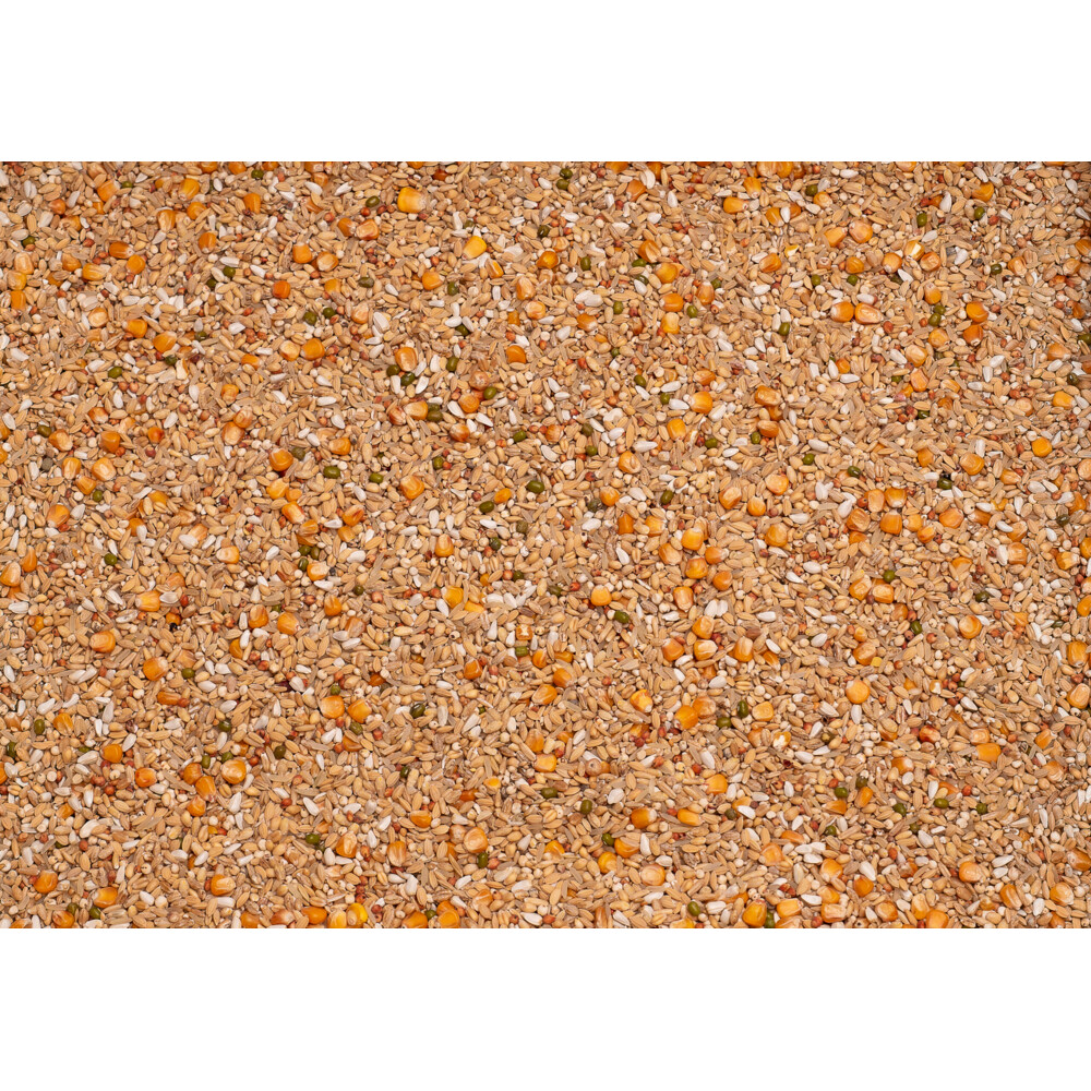 Beyers Enzymix 7/48 MS Recup 20 kg