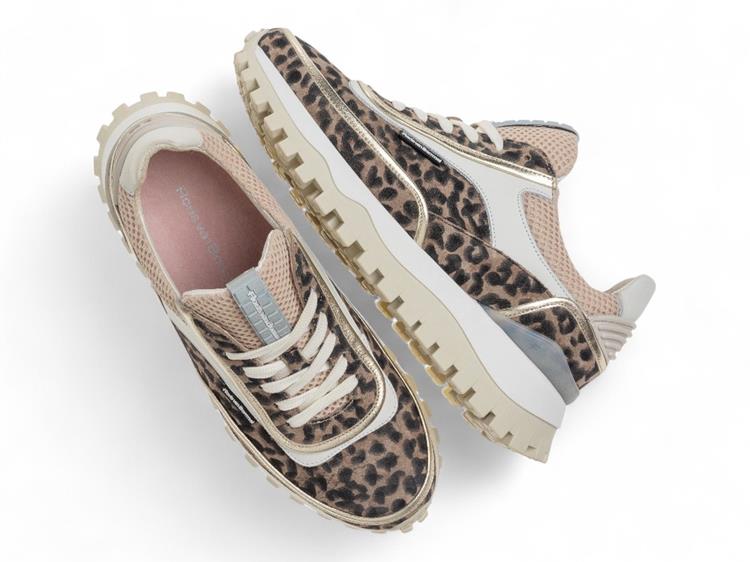 Floris van Bommel SFW-10131 taupe