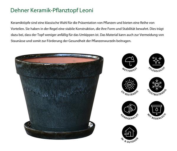 Dehner Keramik-Pflanztopf Leoni inkl.