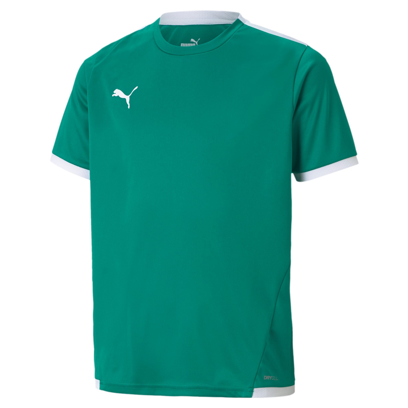 PUMA teamLIGA Trainingsset Kids Groen Wit