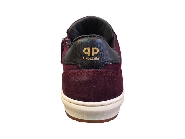 Pinocchio P1102 bordo