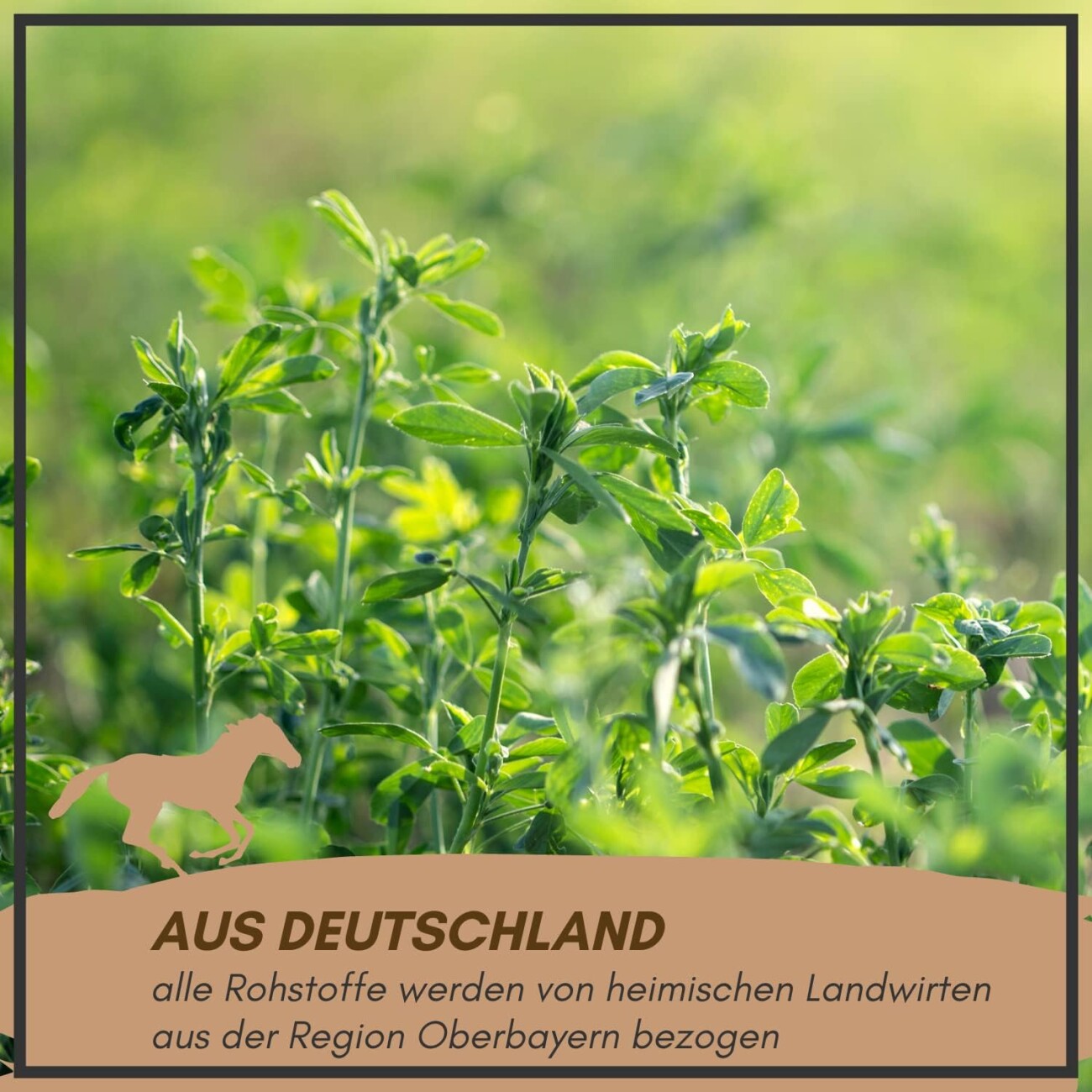 Supravit Luzernecobs Pferdefutter 20kg