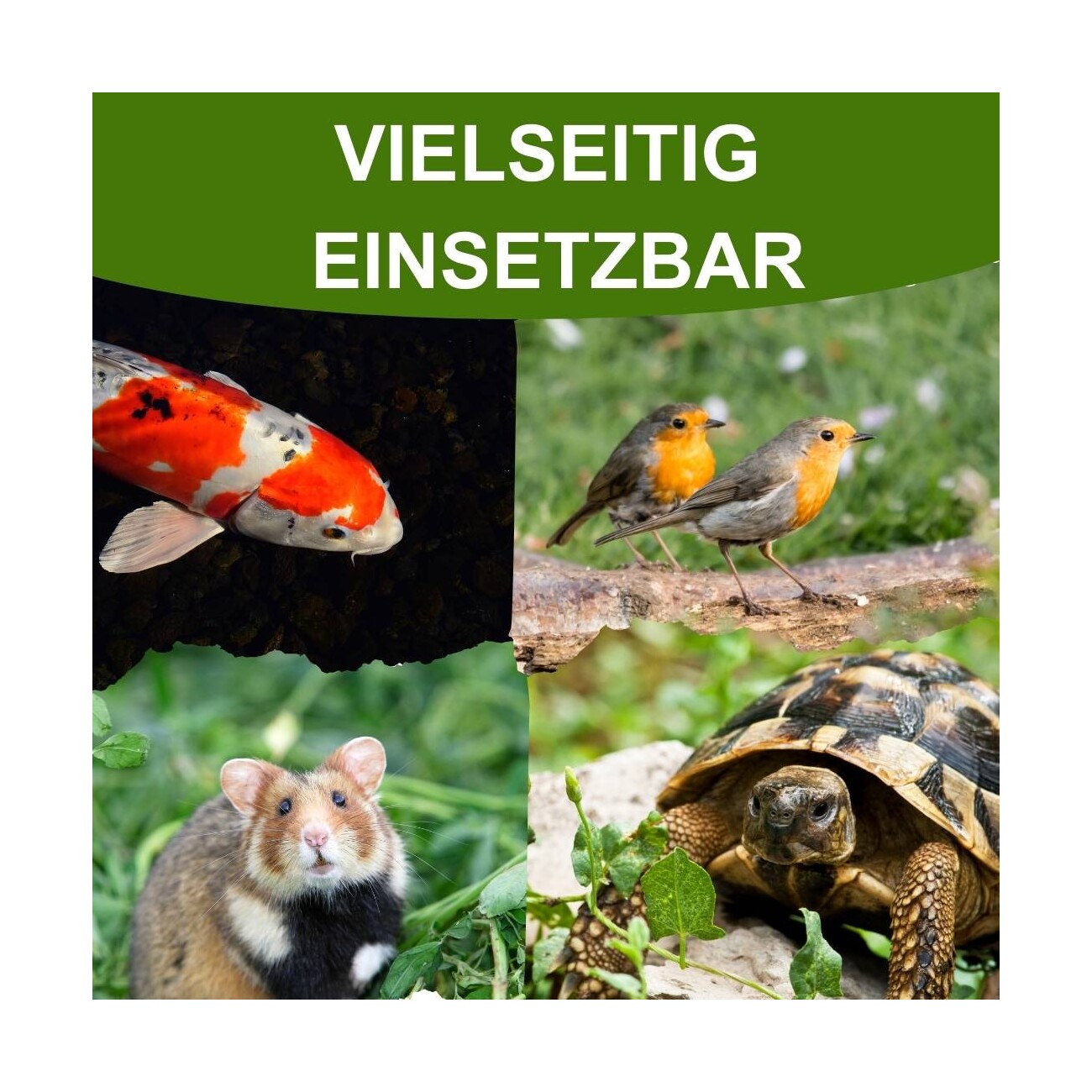Insektus Mehr Sorten Mix 500 g